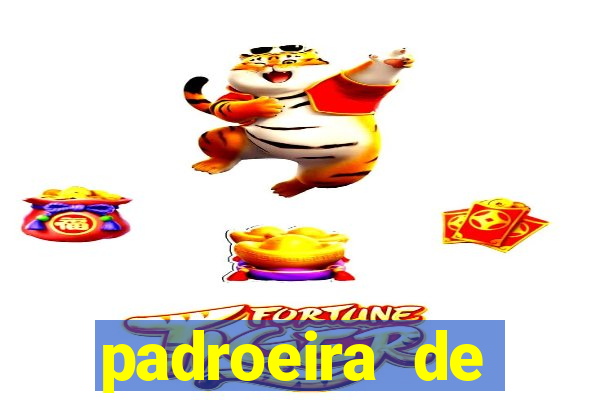 padroeira de cruzeiro sp